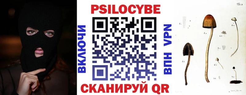 дарнет шоп  Уржум  Галлюциногенные грибы GOLDEN TEACHER 